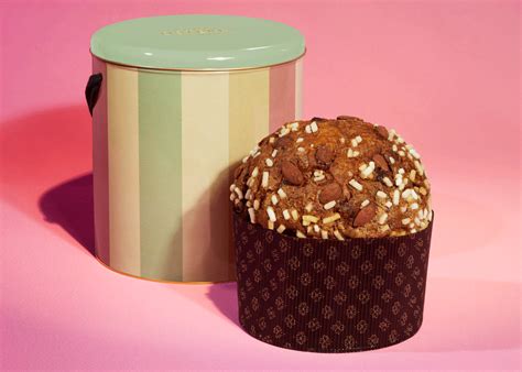 gucci bottura panettone|panettone gucci osteria.